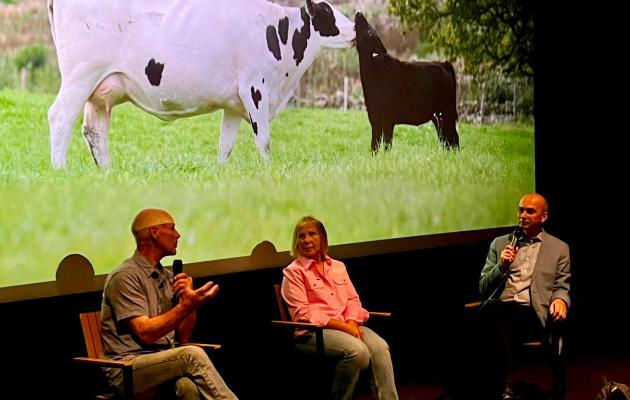 A Dairy Story at Norwich