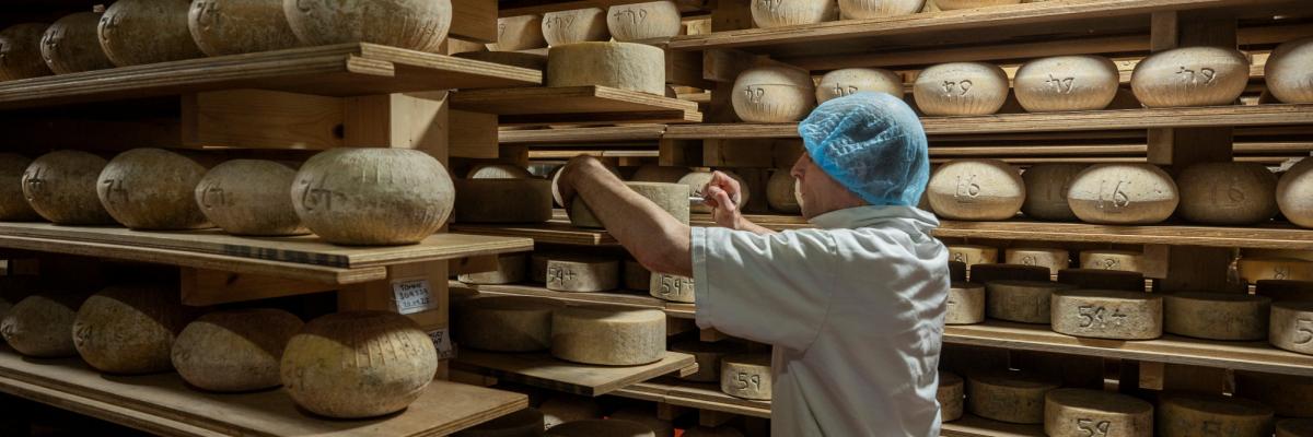 Cheese store at The Ethical Dairy 