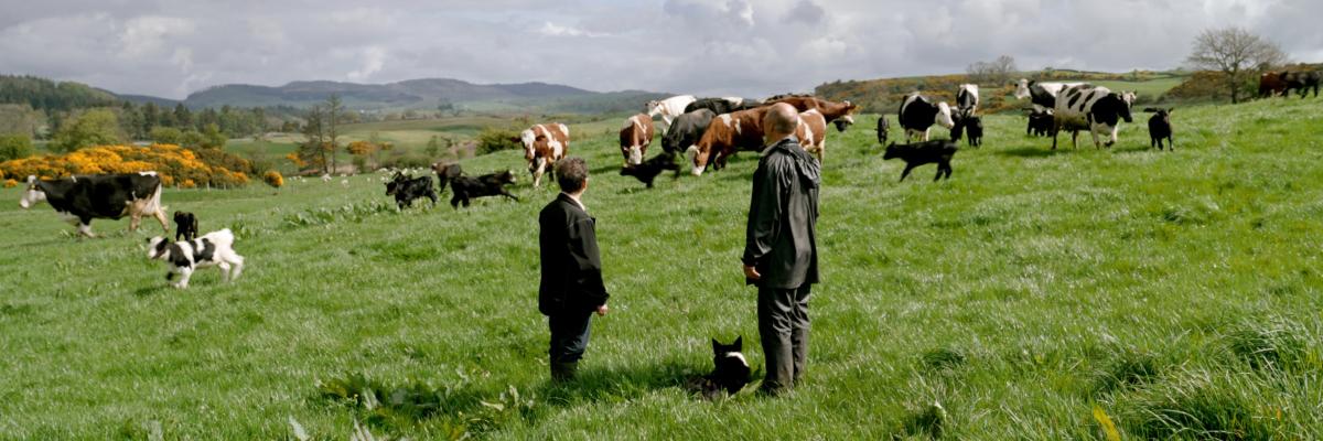 A still from A Dairy Story
