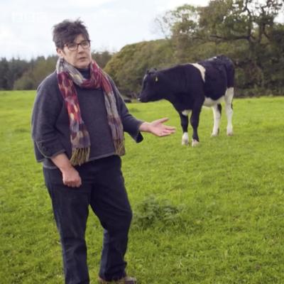 Screen grab from Escape to the Country