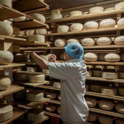 Cheese store at The Ethical Dairy 