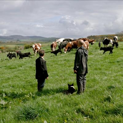 A still from A Dairy Story